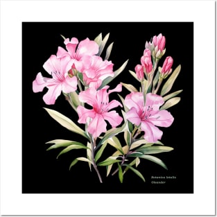 Botanica letalis - Oleander, beautiful flower, Botanical Posters and Art